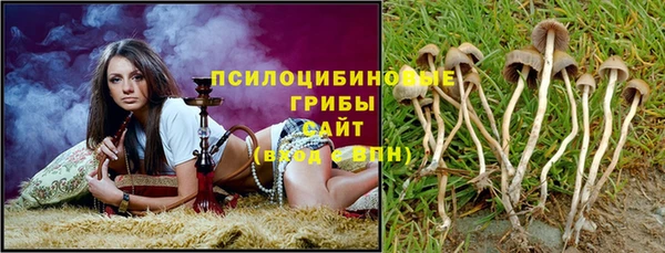 бутират Гусиноозёрск