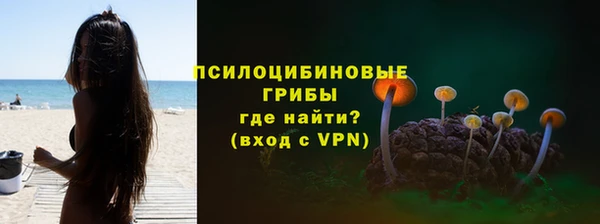 трава Магадан