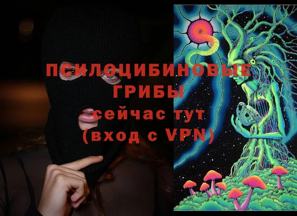 соль ск Магас