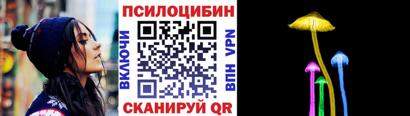 дарк нет какой сайт  Шарья  Псилоцибиновые грибы прущие грибы  купить  цена 